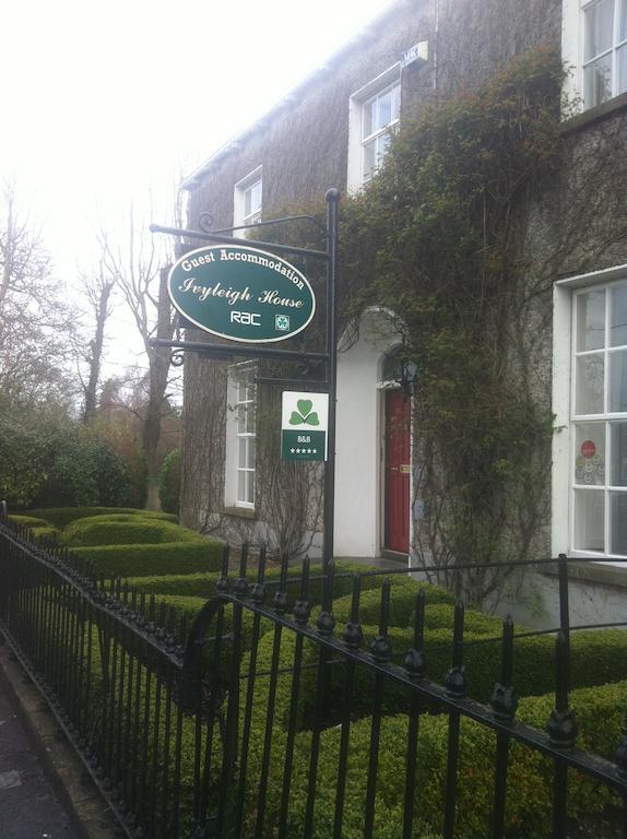 Ivyleigh House Acomodação com café da manhã Port Laoise Exterior foto